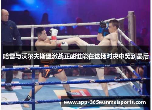 哈雷与沃尔夫斯堡激战正酣谁能在这场对决中笑到最后